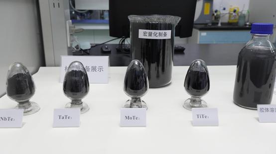 ug环球体育欧洲杯