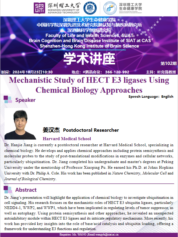 ug环球体育直播
