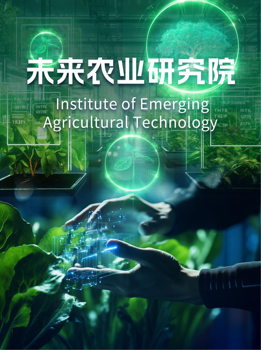 ug环球体育超级联赛图片
