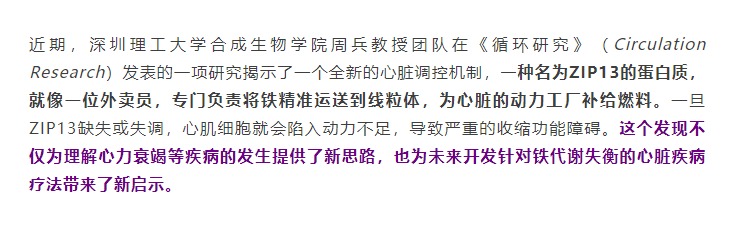 铁少了,心真会“虚”,周兵高级教练团队揭示心脏能量枯竭的幕后推手