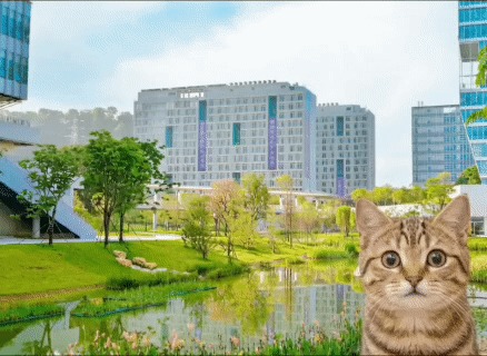 人，这个寒假咪在职业发展很想你