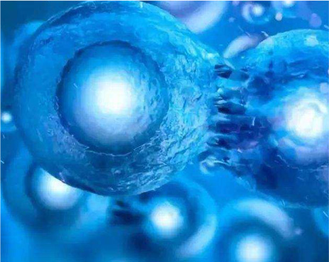 ug环球体育加速节点图片